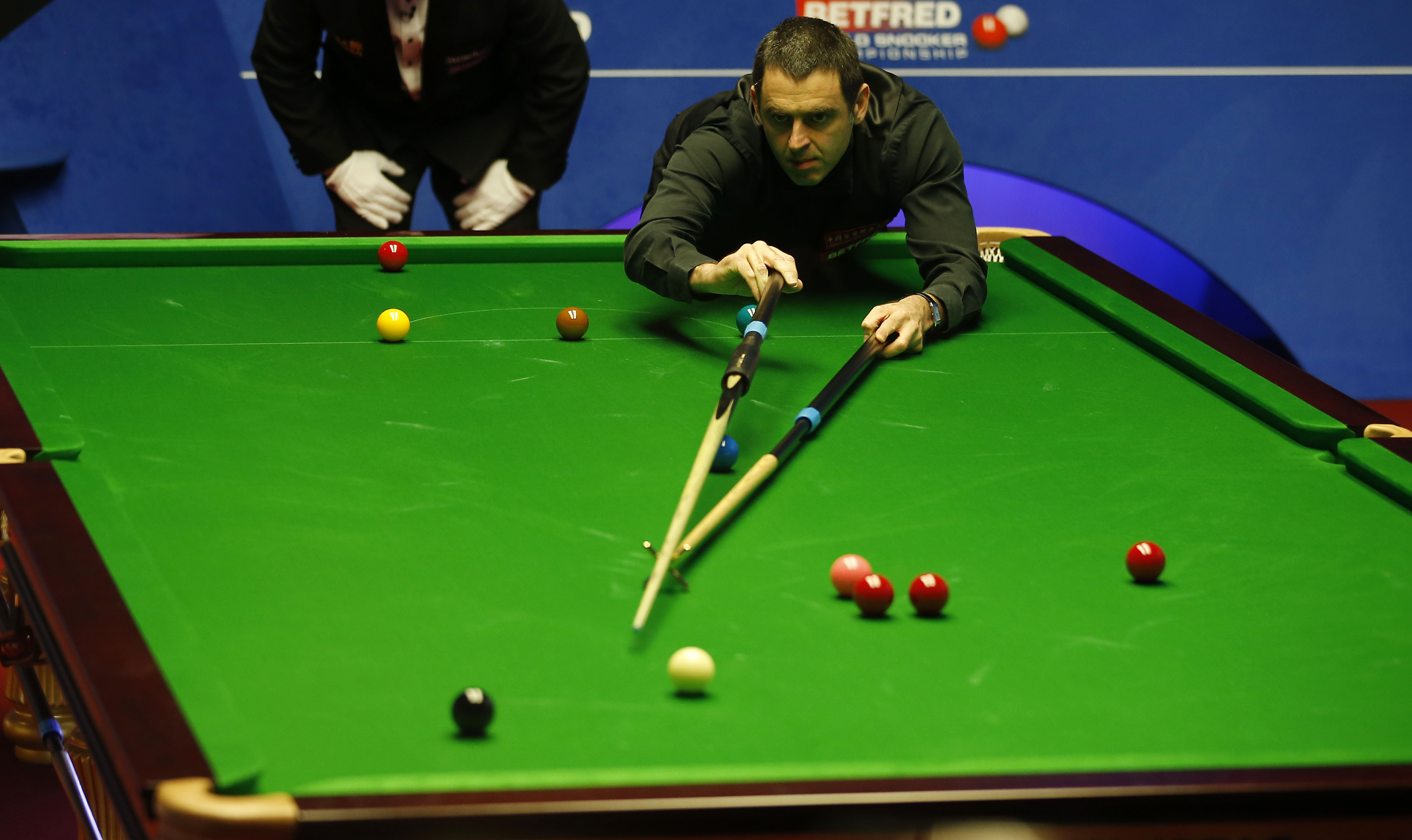 金秋的内线 金秋的内线