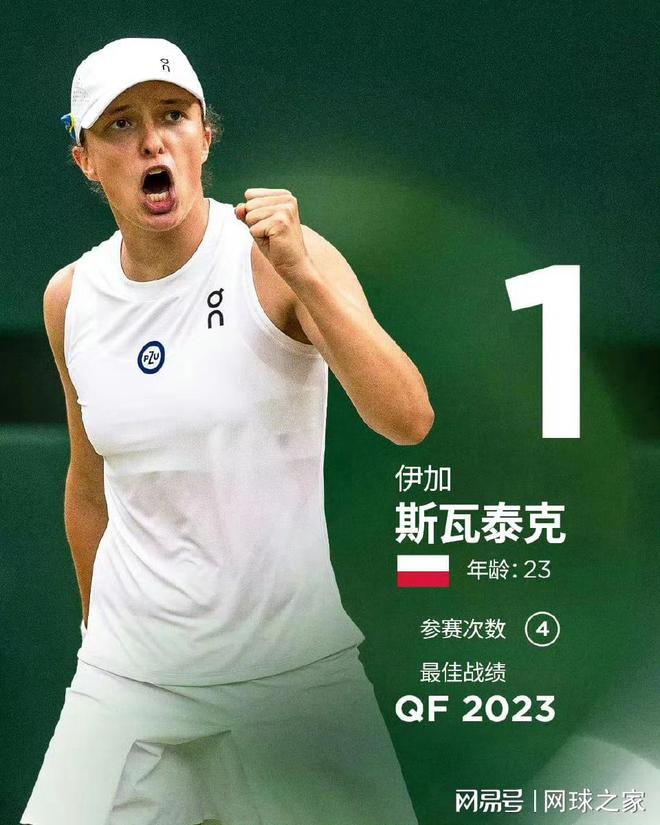 在现代羽毛 在现代羽毛