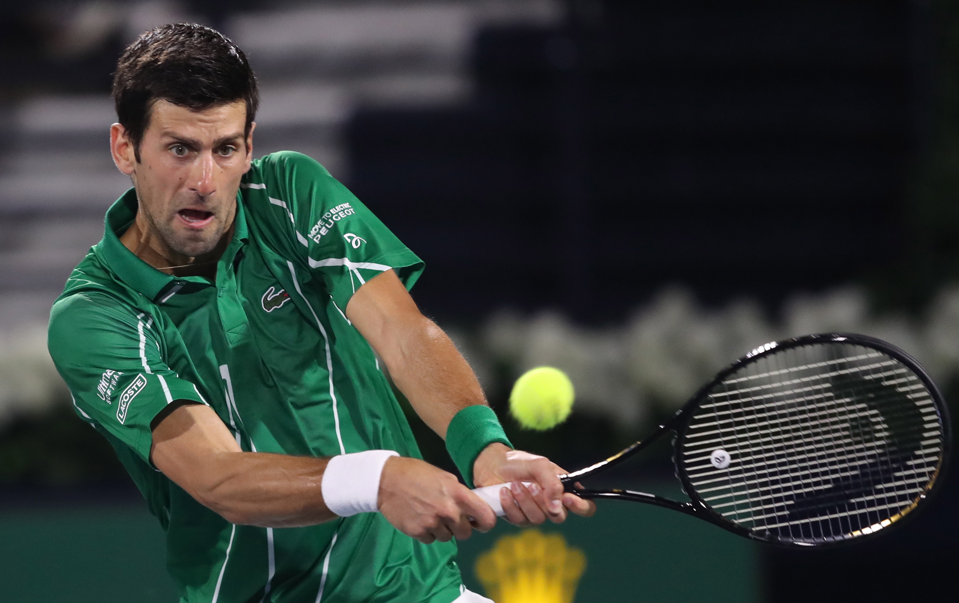 吸引了众多 吸引了众多