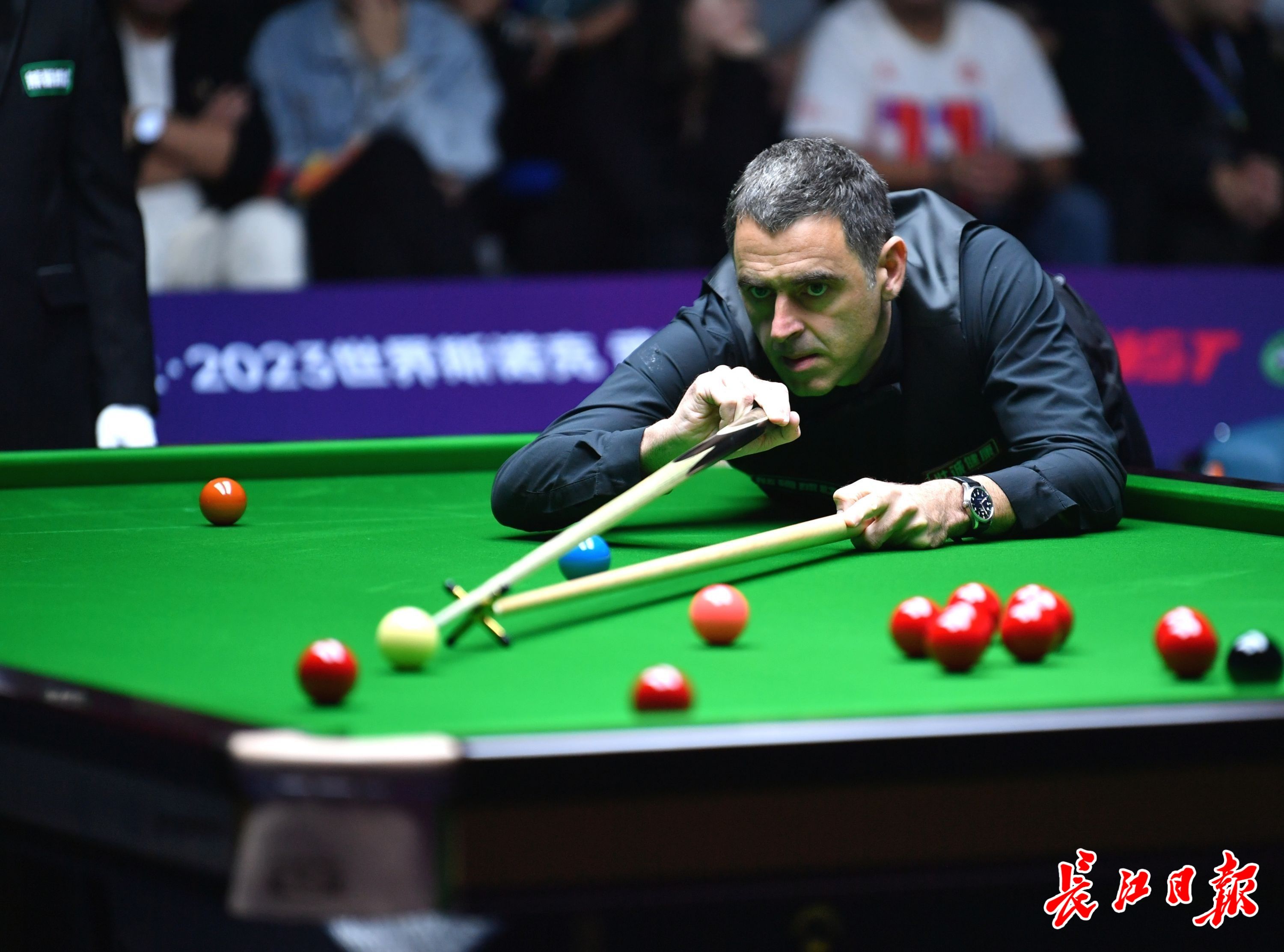 这句话道出 这句话道出