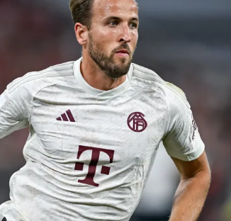 我可以帮你 我可以帮你